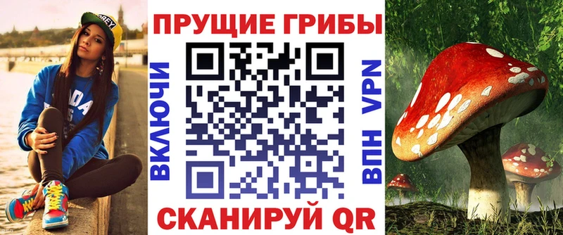 МЕГА онион  наркота  Александров  Псилоцибиновые грибы ЛСД 