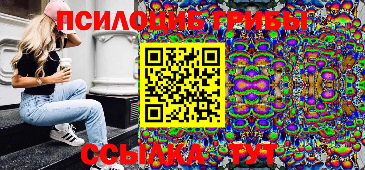 Псилоцибиновые грибы Psilocybine cubensis Александров