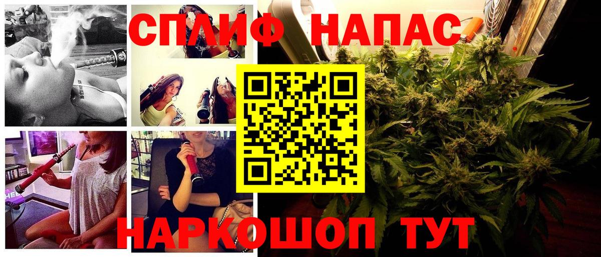 Канабис сатива  Александров  Канабис семена  Конопля AK-47 